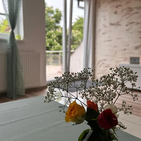 Mit Sonnenterasse * Wilhelmshaven